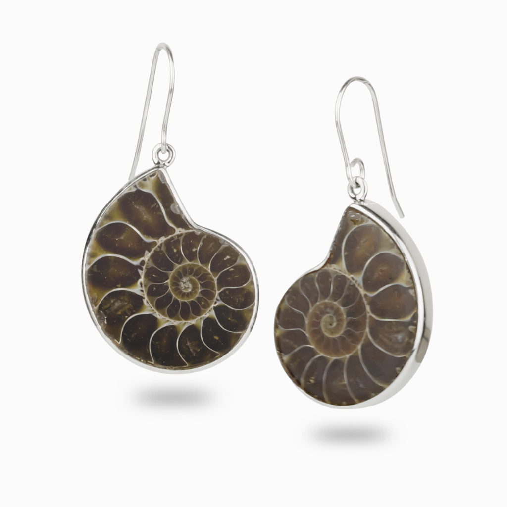 Ammonite earrings deals silver