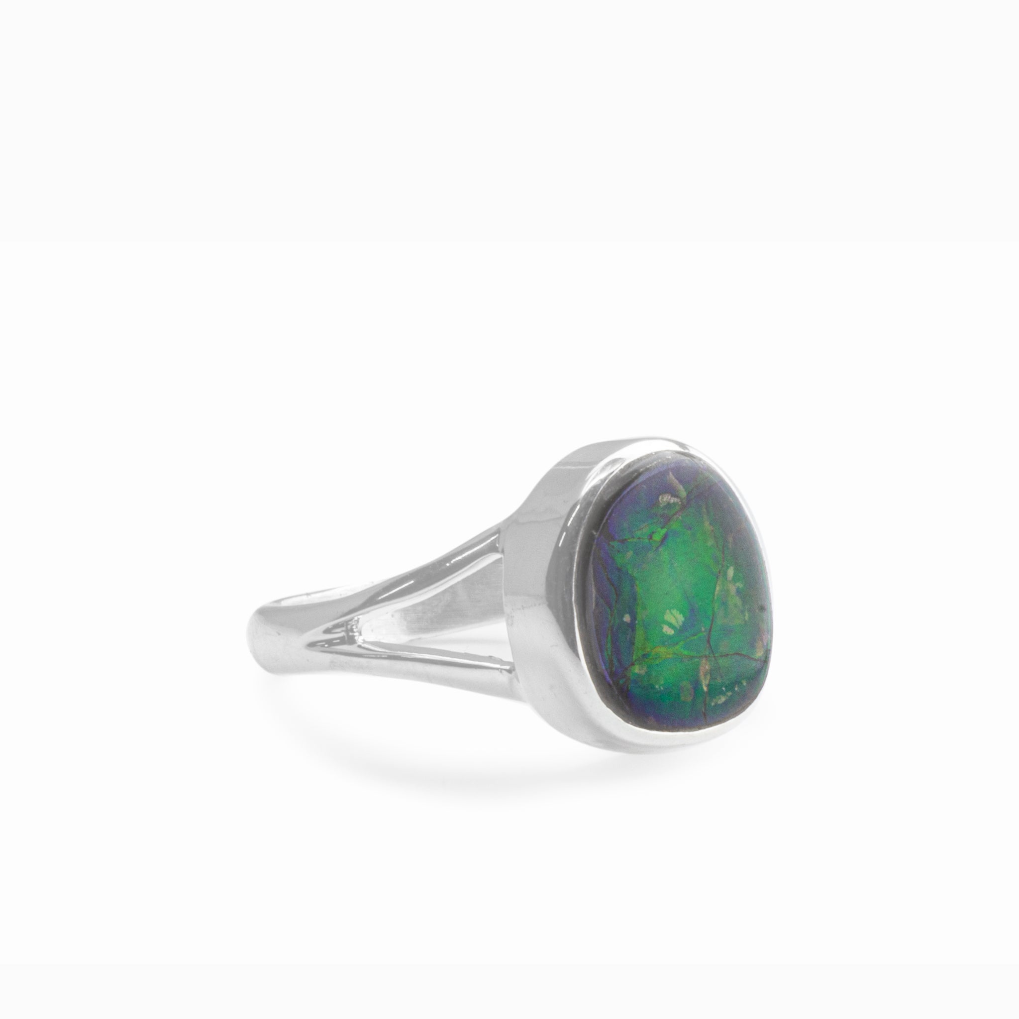 Ammolite Ring