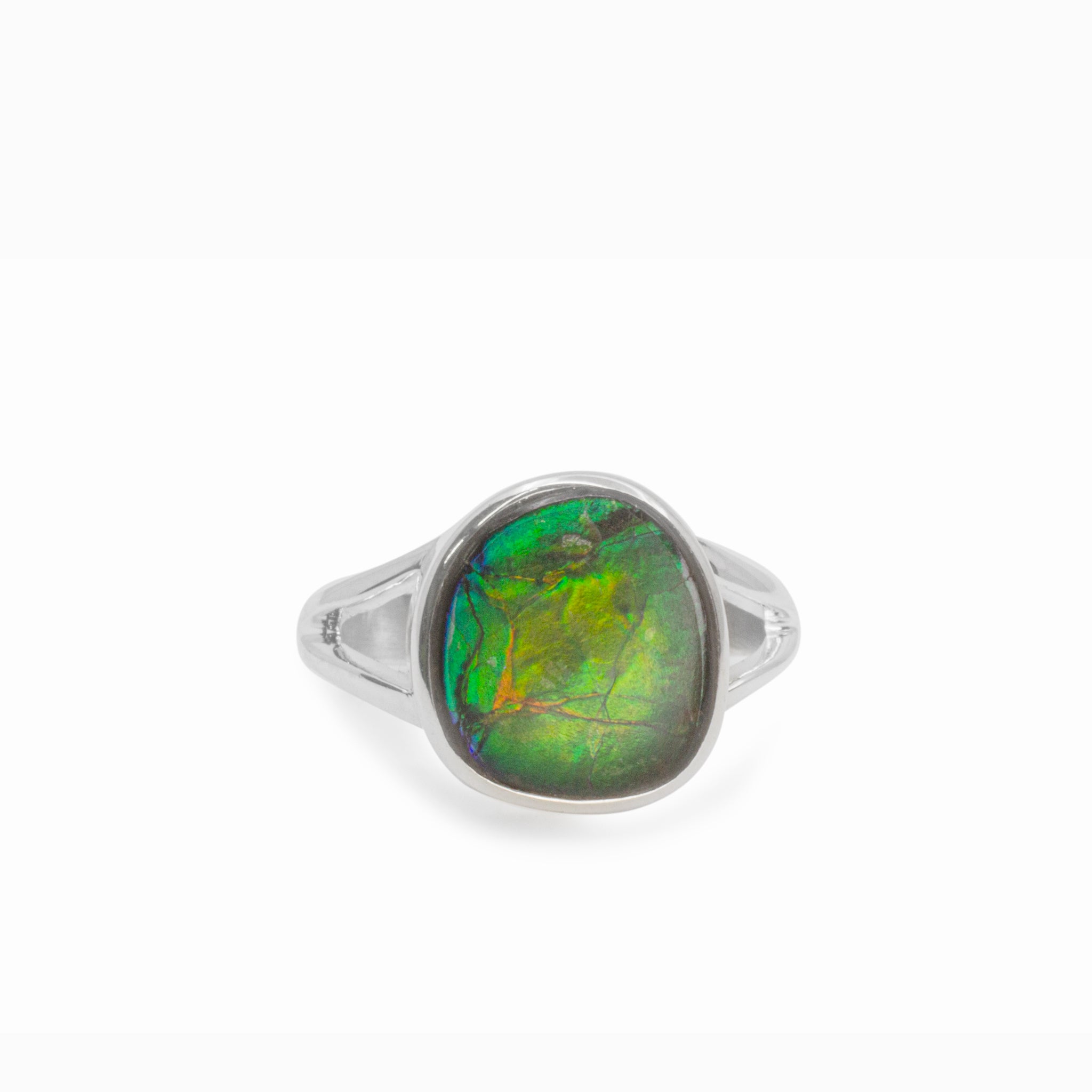 ammolite ring