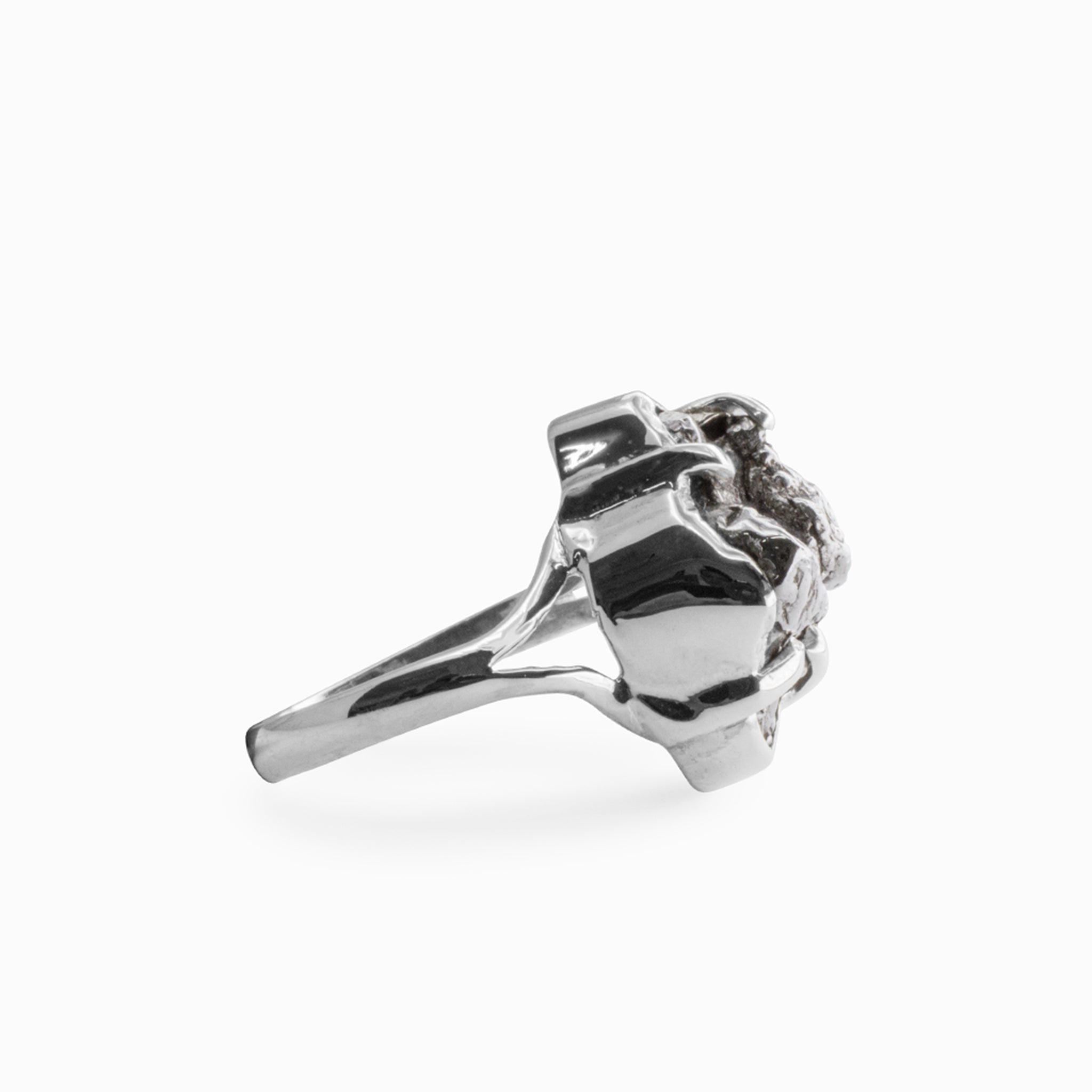 campo del cielo meteorite ring