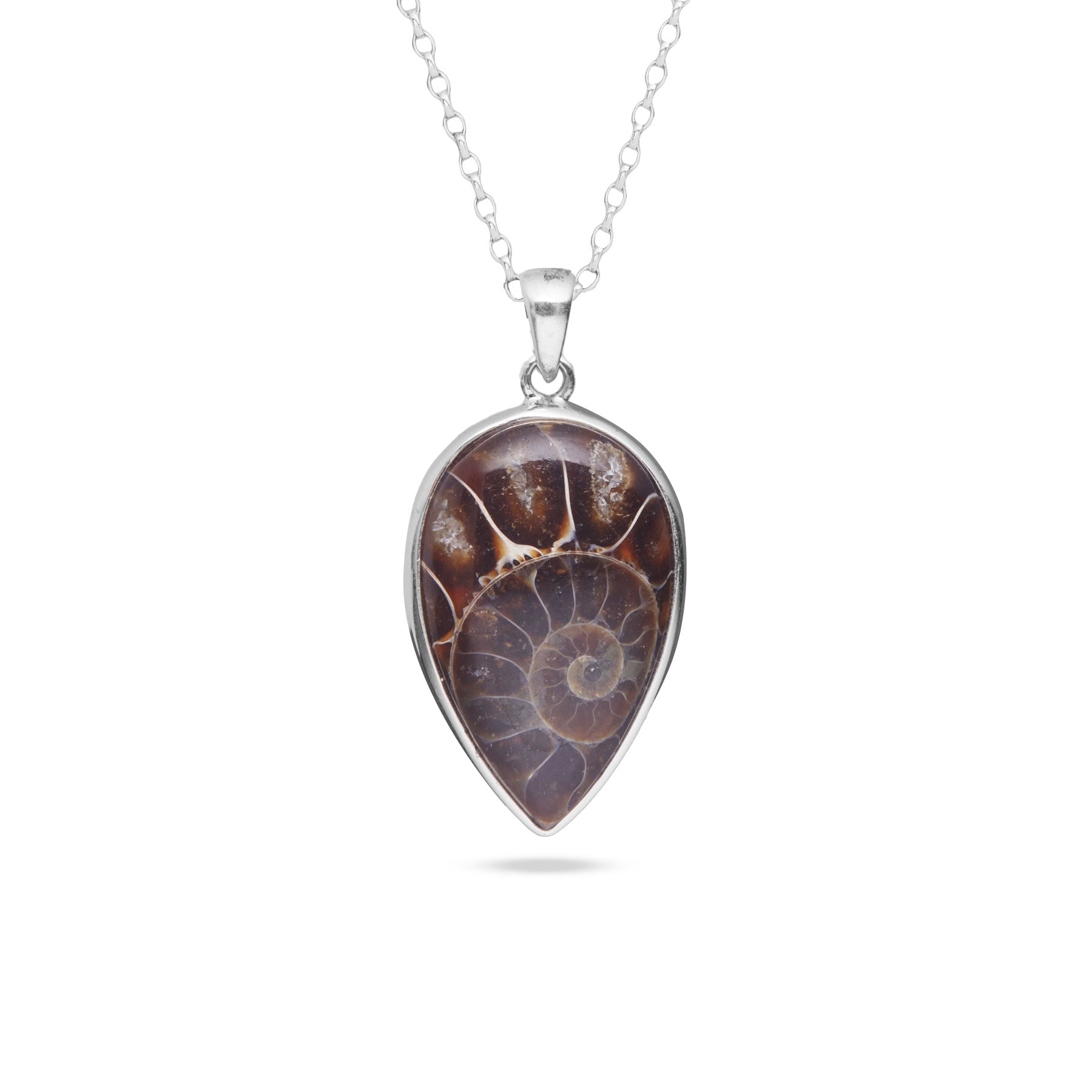 Ammonite cabochon inverted teardrop pendant 