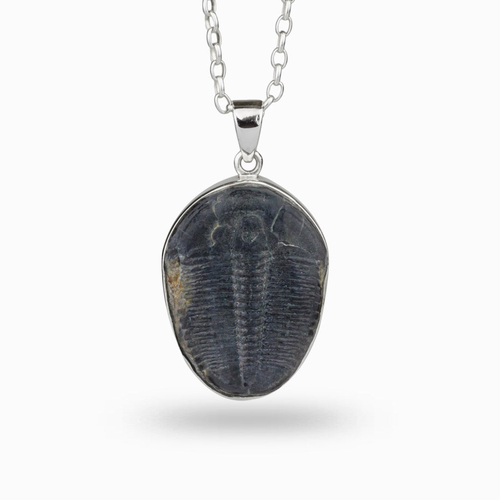 Trilobite Bezel Necklace